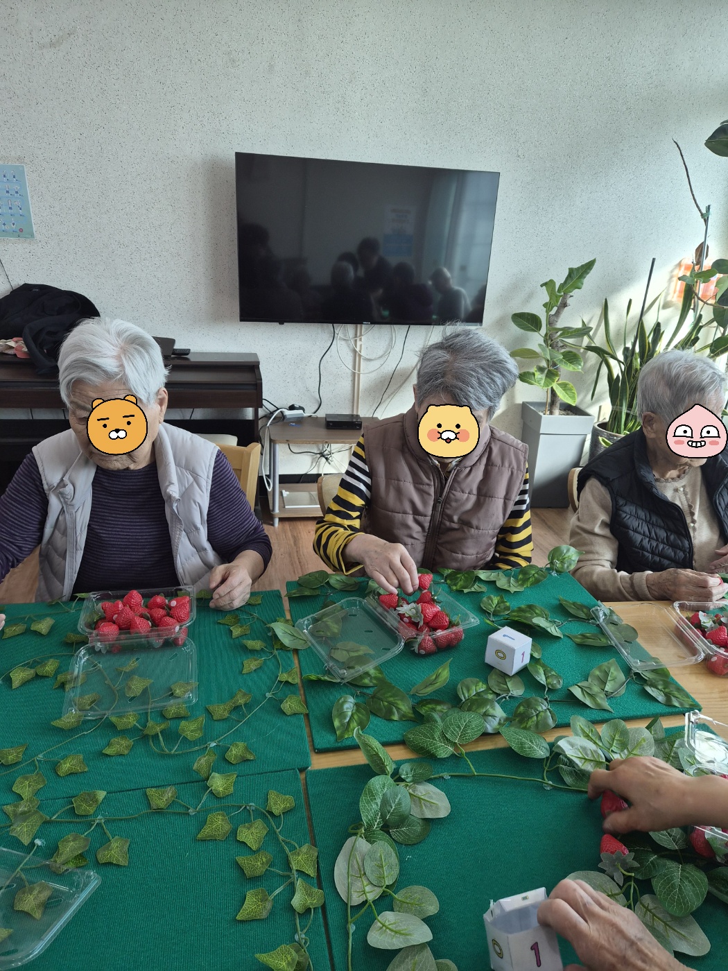 fc62ffe0ab08bb28797798115707b6d0_1771485